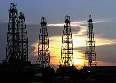 O melhor amigo do homem pode virar combust�vel de carro?